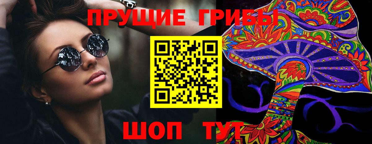 Псилоцибиновые грибы Psilocybine cubensis Гатчина