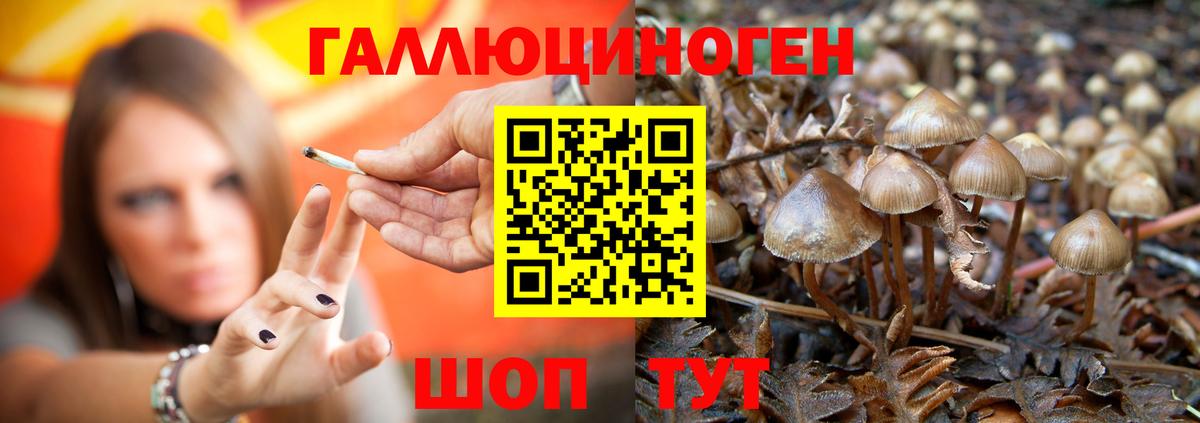 Псилоцибиновые грибы GOLDEN TEACHER  закладка  Гатчина  Вход с VPN 