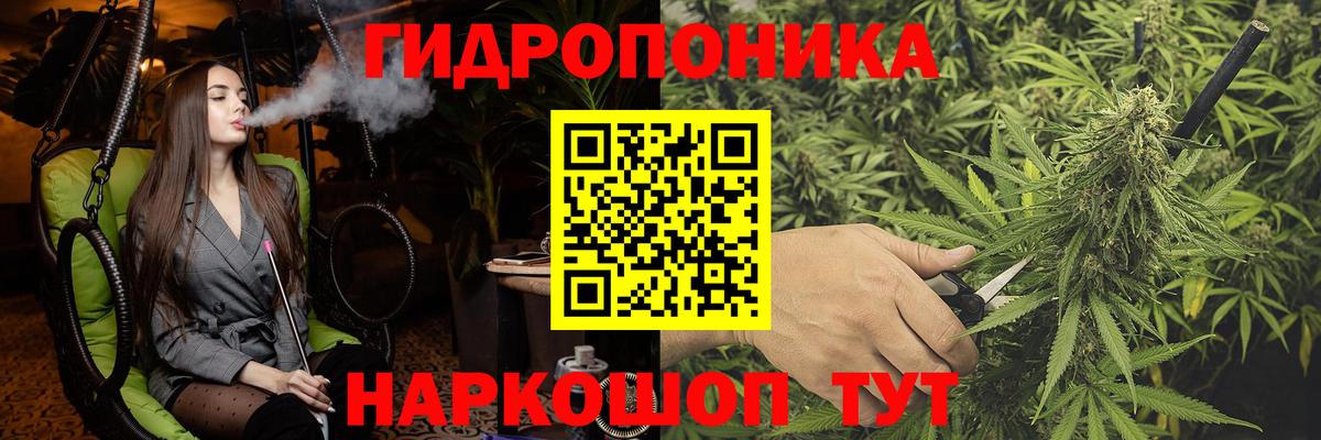 Меф Гатчина